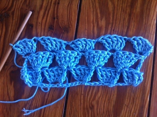 Example of the Crocheted Shell Stitch