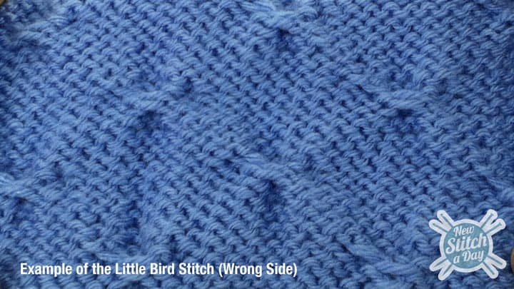 Example of the Little Birds Stitch