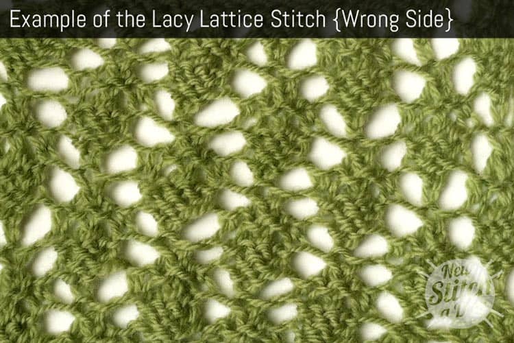 Example of the Lacy Lattice Stitch {Wrong Side}