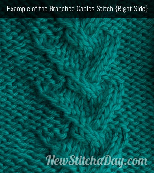 Example of the Branched Cable Stitch Right Side