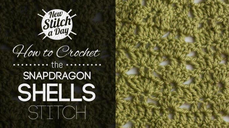 How to Crochet the Snapdragon Shells Stitch