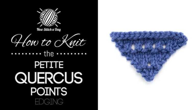 How to Knit the Petite Quercus Points Edging