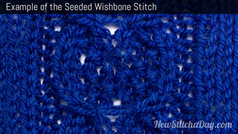 Example of the Seeded Wishbone Stitch Right Side