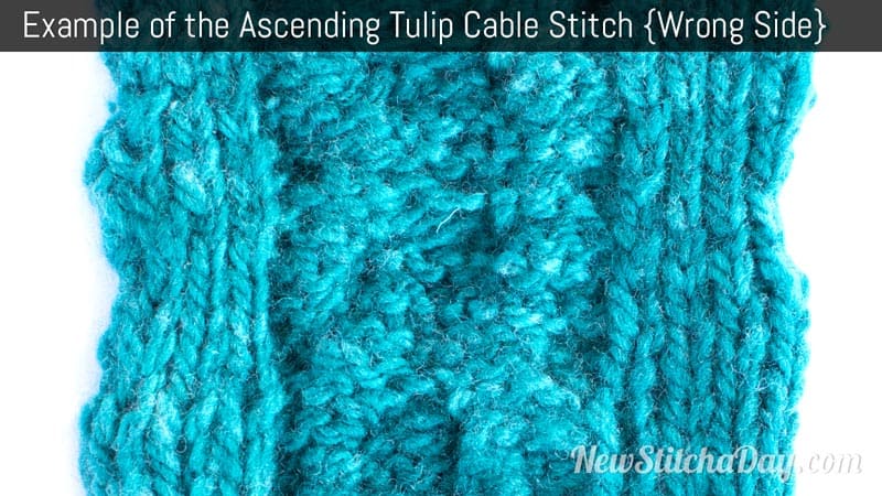 Example of the Ascending Tulip Cable Stitch. (Wrong Side)