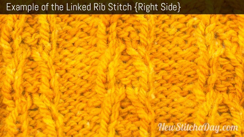 Example of the Linked Rib Stitch. (Right Side)