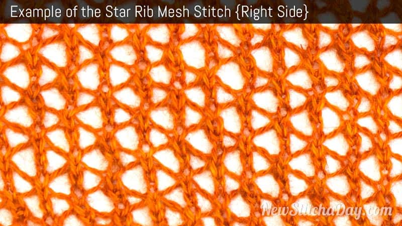 Example of the Star Rib Mesh Stitch. (Right Side)